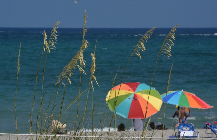 beach umbrella on sand